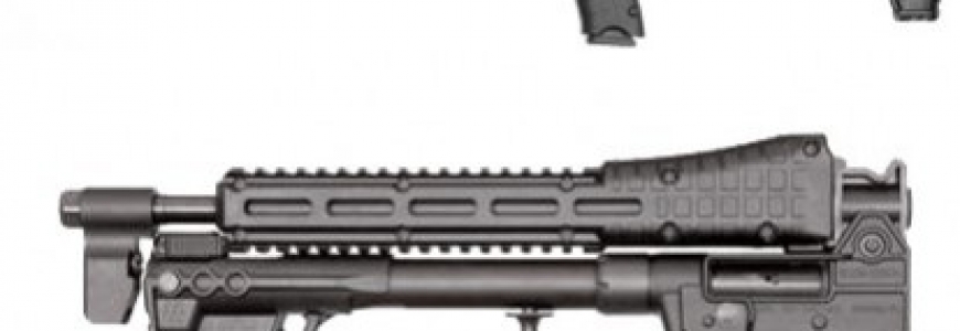 Kel-Tec Sub 2000 9mm — The Home Defender